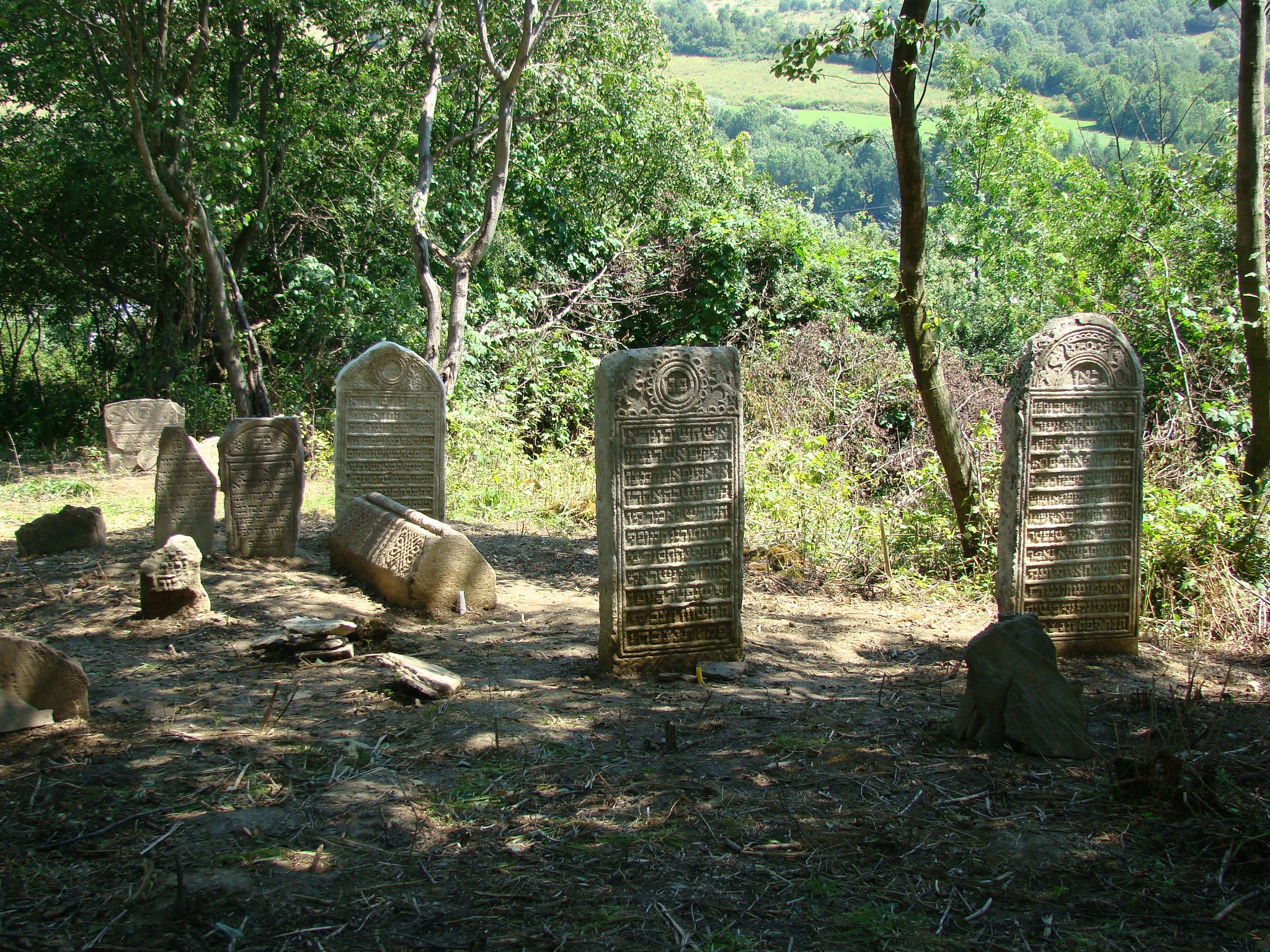 HISTORIC INTERNATIONAL VIRTUAL CONFERENCE BRINGS TOGETHER JEWS, CHRISTIANS, POLES, AND POLISH JEWISH DIASPORA TO DISCUSS PROTECTING AND PRESERVING 1,200 JEWISH CEMETERIES IN POLAND