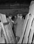 report-photo-for-wjro-website